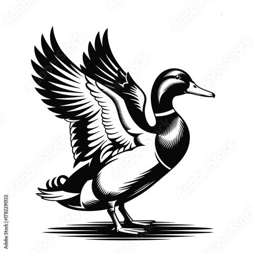 Elegant Duck with Wings Spread Out Against White Background Art Illustration