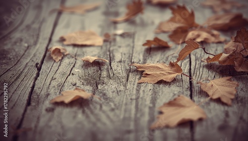 Chestnut tree leaves resting on a weathered wooden surface, vintage aesthetics, natural texture accentuation