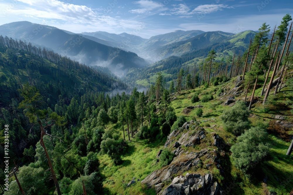 Obraz premium Breathtaking mountain vista with dense green forests and a misty valley.