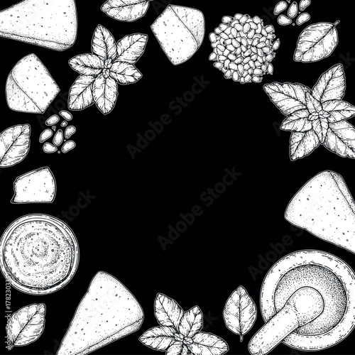 Pesto sauce ingredients vector illustration. Hand drawn sketch. Italian food. Basil, parmesan cheese, pine nuts, garlic, salt, arugula, mortar and pestle