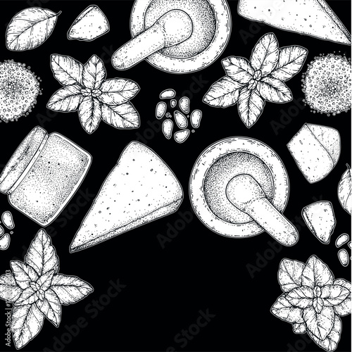 Pesto sauce ingredients vector illustration. Hand drawn sketch. Italian food. Basil, parmesan cheese, pine nuts, garlic, salt, arugula, mortar and pestle