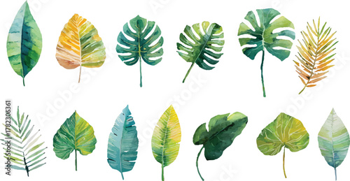 set of autumn leaves