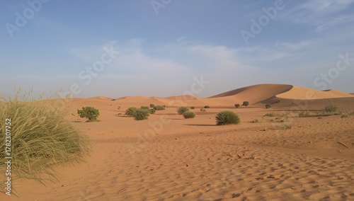 Fototapeta Naklejka Na Ścianę i Meble -  The Sahara desert features arid dunes and resilient flora thriving in harsh, dry conditions, highlighting adaptation to extreme environments