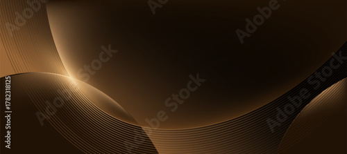 Luxury gold black curve background, abstract elegant background vector for branding presentation