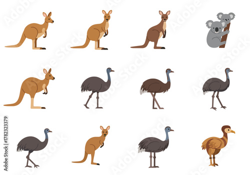 Diverse Australian Wildlife Kangaroos, Emus, and Koala Illustration