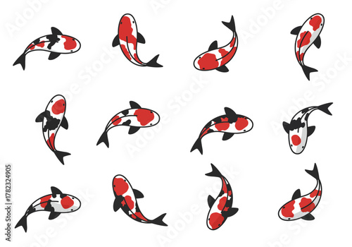 Koi Fish Pattern Elegant Japanese Carp Illustration