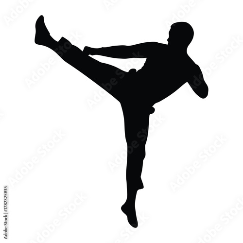 Man Silhouette High Kick White Background male human