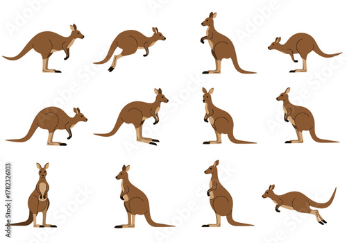Collection of Kangaroos in Various Poses on White Background