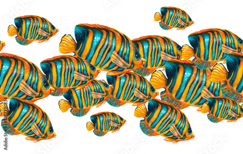 Seamless pattern. School of angelfish. Watercolor painting depicting fish on a white background.