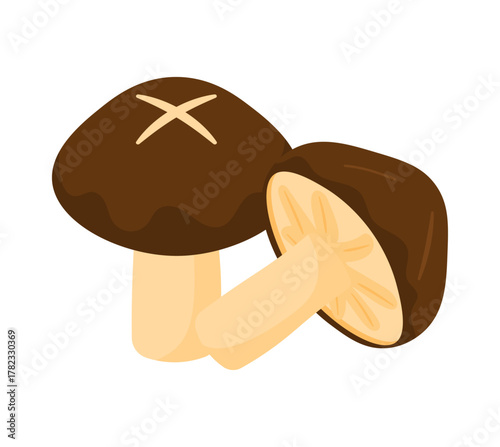 Shiitake Mushroom for Food Ingredient Cartoon Vector Illustration