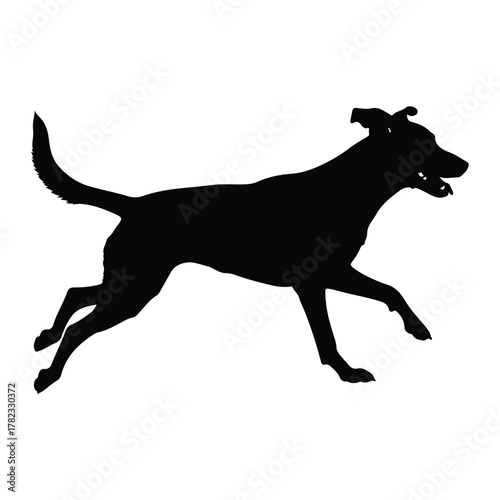 Silhouette of a dog running with its mouth open Keywords: silhouette, dog, canine, animal, pet