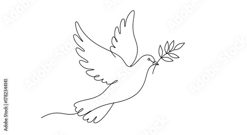 white dove flying