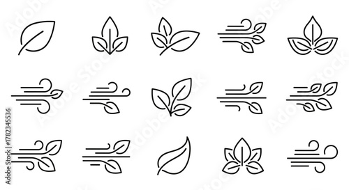 Collection of Line Art Leaf and Wind Icons for Nature, Environment and Eco-Friendly Design Elements