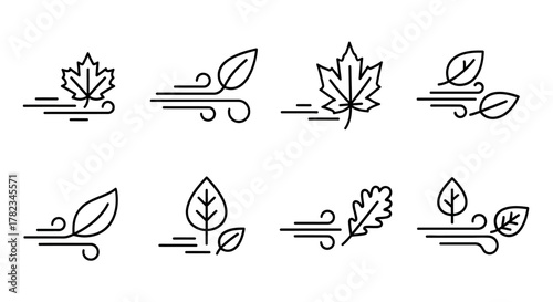 Set of stylized leaf and wind icons for natural weather and seasonal themes