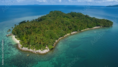 Fototapeta Naklejka Na Ścianę i Meble -  Aerial perspective of a vibrant tropical island with dense jungle along the coastline, showcasing natural beauty