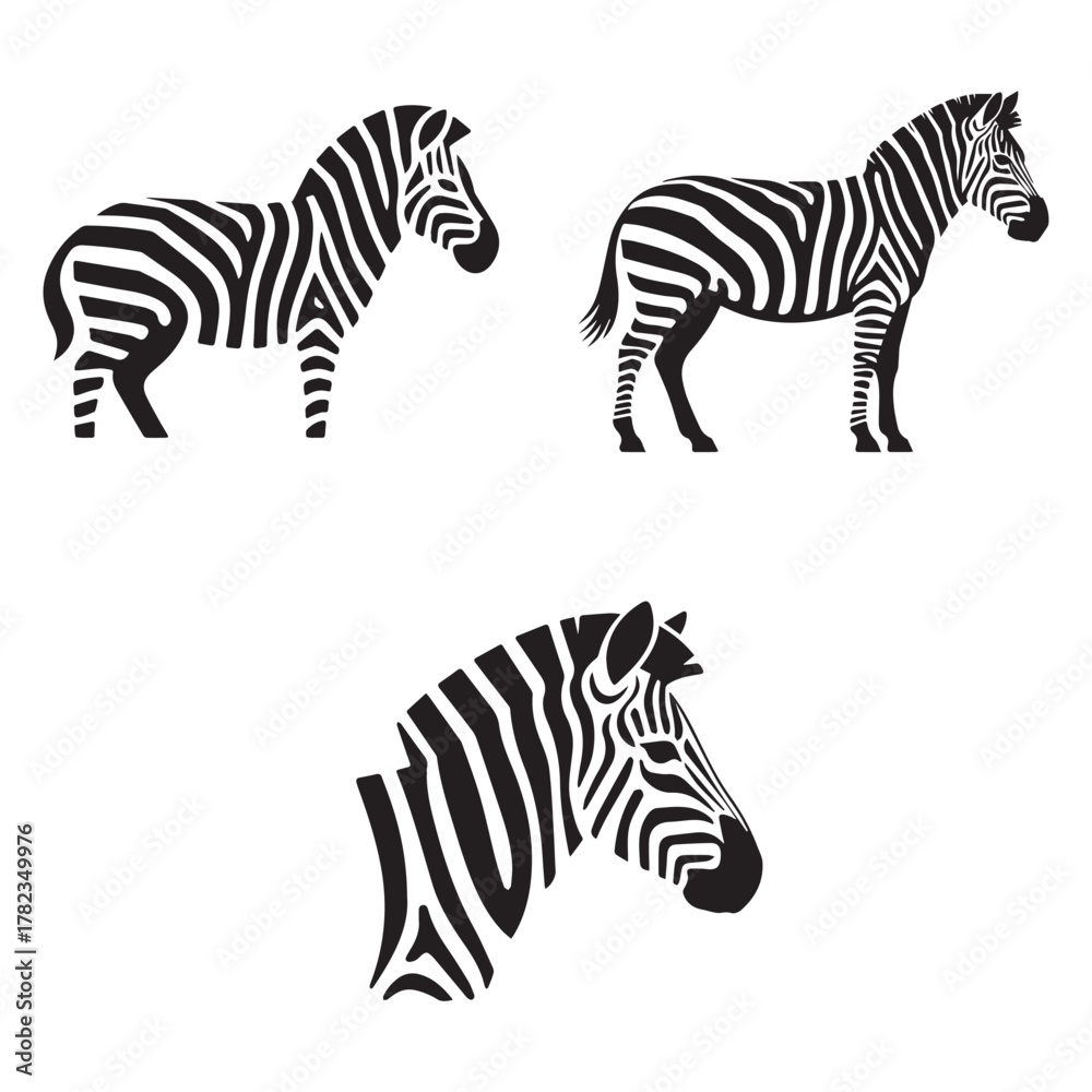 Fototapeta premium Black and White Zebra Art – Safari Animal Vector Design