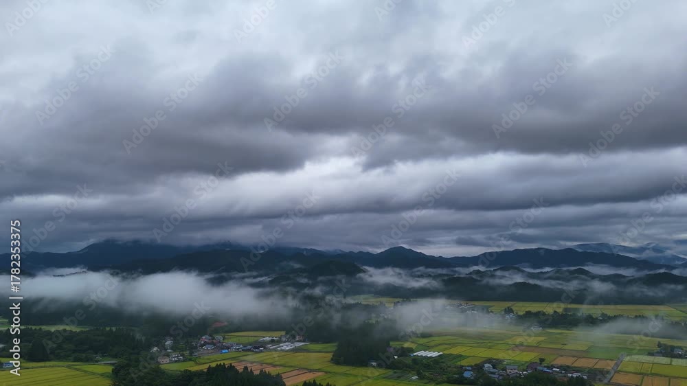 custom made wallpaper toronto digital秋の早朝に地表付近に霧が発生している東北の田園風景 空撮