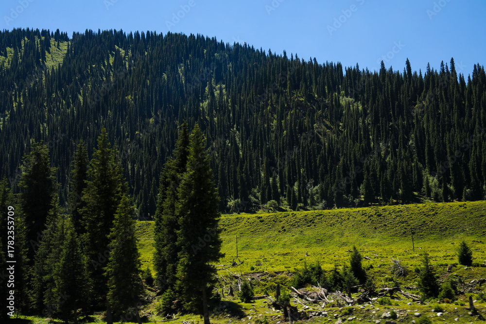 Fototapeta premium The beautiful scenery of Xinjiang, Asia