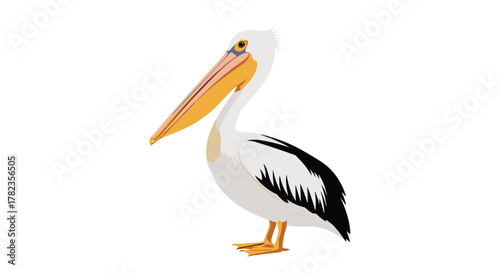 A majestic white pelican with its distinctive long yellow bill and black-tipped wings stands gracefully, a symbol of coastal wildlife.