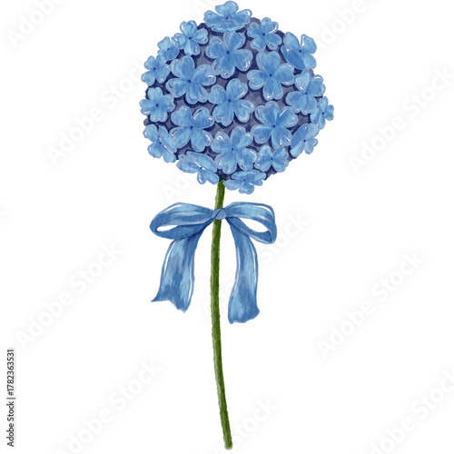Hydrangea and bow