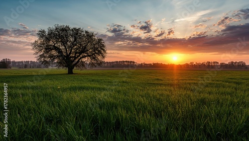 Springtime countryside with...
