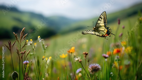 Fototapeta Naklejka Na Ścianę i Meble -  A butterfly fluttering across a meadow in the UK, with a classic English countryside scene in the background of green hills and wildflowers.