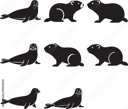 Collection of Seal and Groundhog Silhouettes animal