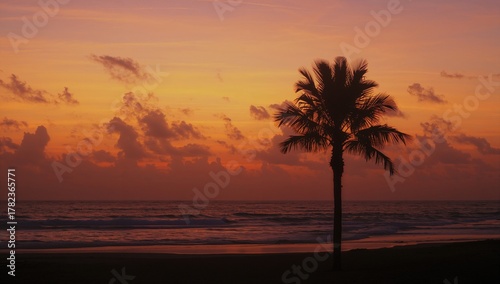 Sunset with a palm tree outline