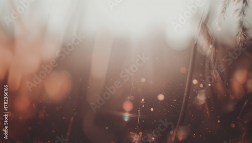 Optical flare and vintage b...