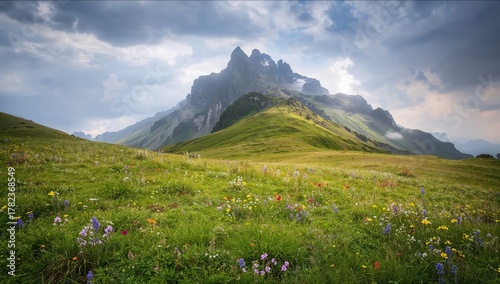 Fototapeta Naklejka Na Ścianę i Meble -  Vivid alpine meadows with a dynamic cloudy sky alongside a notable mountain, showcasing seasonal change