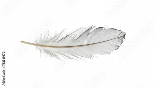 Close-up of a delicate feat...