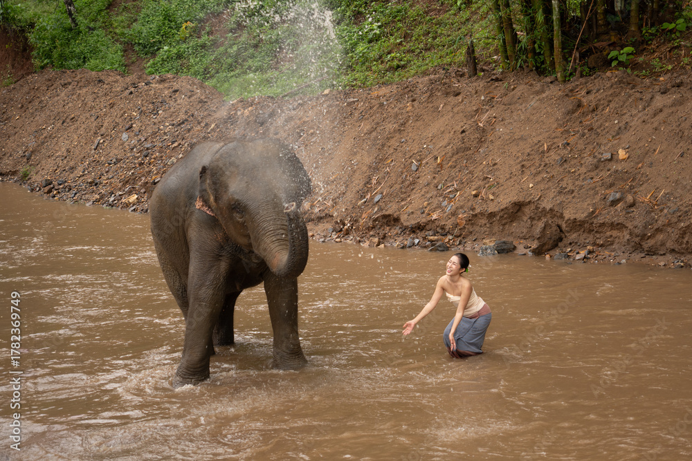 Fototapeta premium Asian woman interacting playfully with an elephant bathing and splashing water in a muddy river