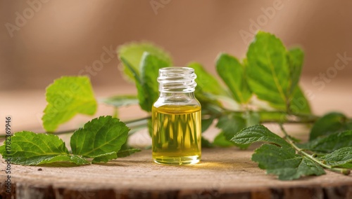 Currant tree essential oil ...