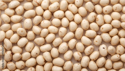 Light kidney bean on a whit...