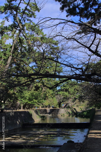 秋の夙川の清き流れ(兵庫県西宮市)