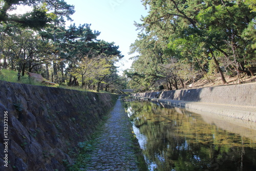秋の夙川の清き流れ(兵庫県西宮市)