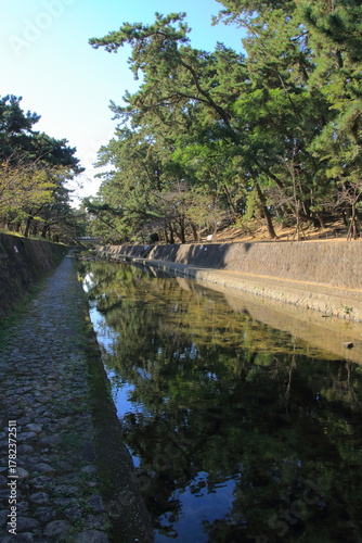 秋の夙川の清き流れ(兵庫県西宮市)
