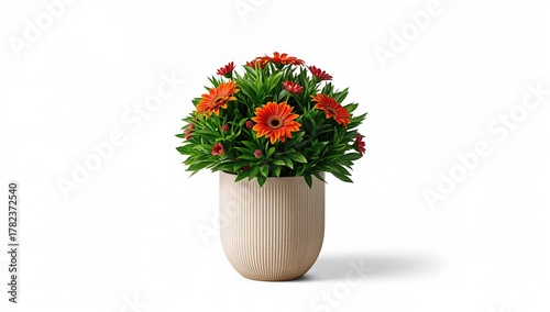 A houseplant displayed in a...