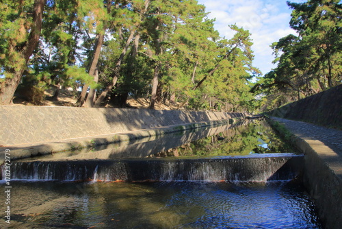 秋の夙川の清き流れ(兵庫県西宮市)