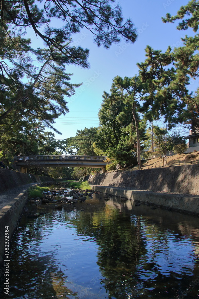 Fototapeta premium 秋の夙川の清き流れ(兵庫県西宮市)