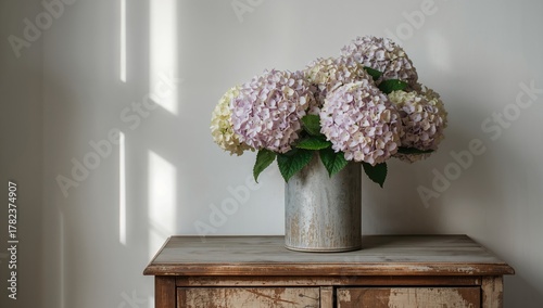 Hydrangea blooms in a weath...