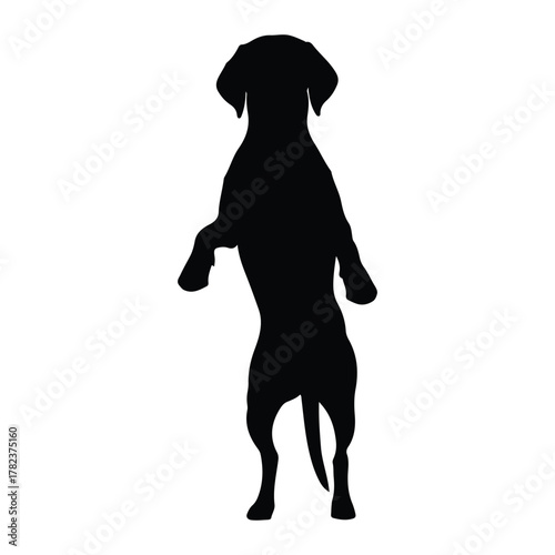 Silhouette of Dog Standing on Hind Legs on White Background