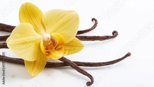 Macro close-up of a yellow ...