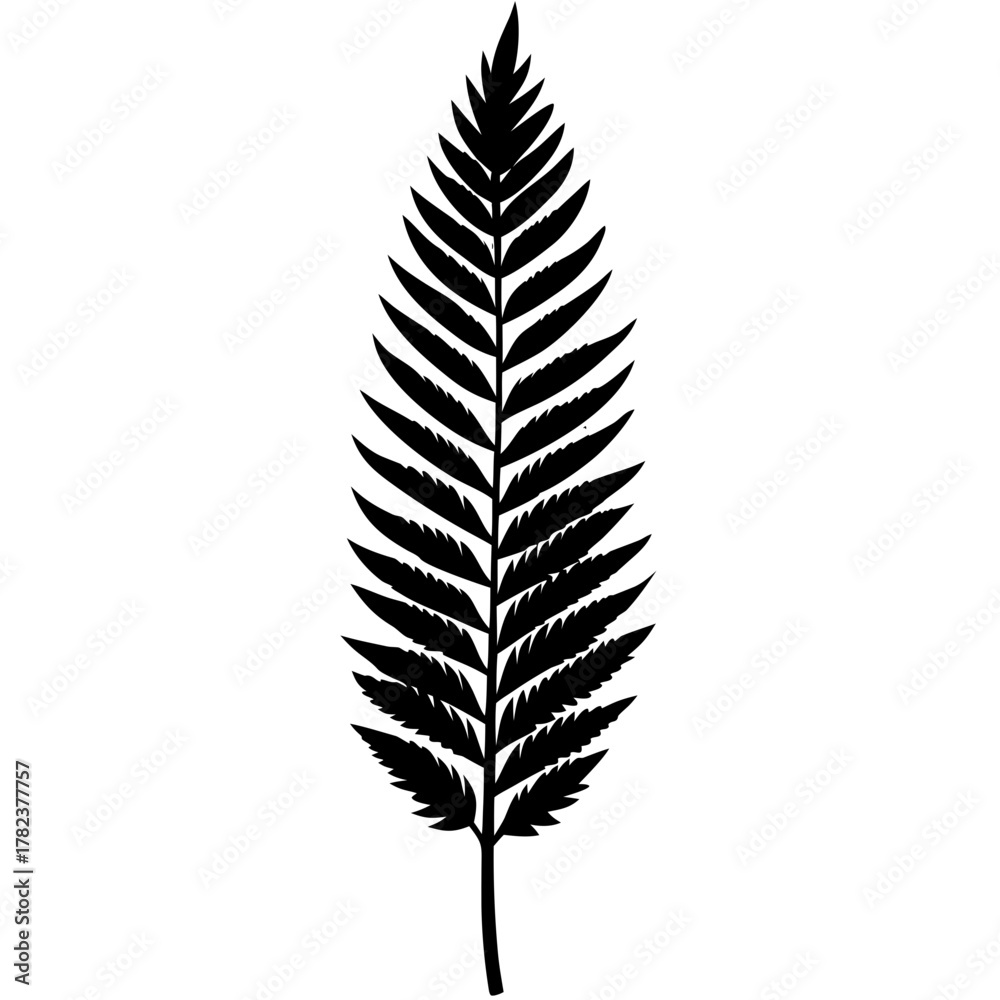 Fototapeta premium leaf isolated on white background