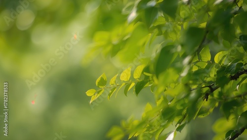 Blurred green background wi...