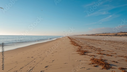 Expansive view of a sandy s...