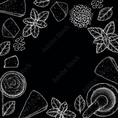 Pesto sauce ingredients vector illustration. Hand drawn sketch. Italian food. Basil, parmesan cheese, pine nuts, garlic, salt, arugula, mortar and pestle