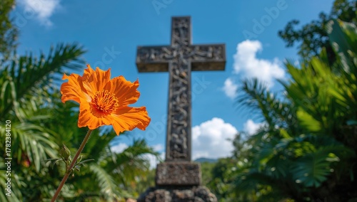 A vibrant orange flower in ...