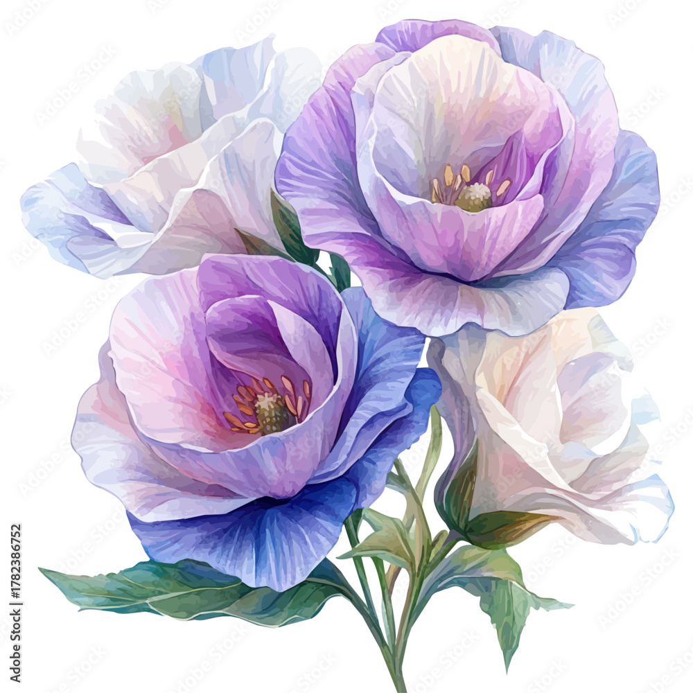 Naklejka premium Lisianthus Flower, watercolor drawing vector, isolated on a white background.