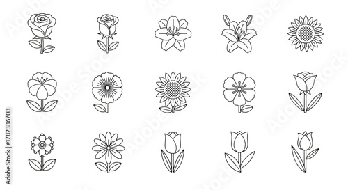 Collection of stylized line art flower icons, featuring roses, lilies, sunflowers, and tulips, presented as a clean vector illustration on a white background, perfect for logos and graphic design